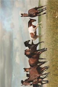 Herd of Horses on the Run Journal