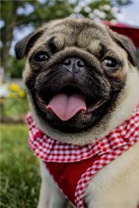 Pretty Tan Pug Dog with a Red Gingham Ruffled Vest Journal