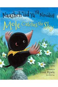 Mole Catches the Sky (Navajo/English)