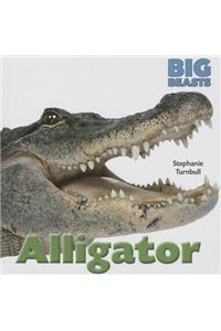 Alligator