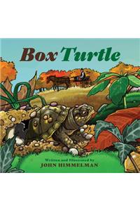 Box Turtle