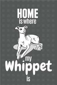Home is where my Whippet is