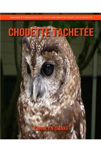 Chouette Tachetée
