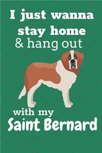 I just wanna stay home & hang out with my Saint Bernard
