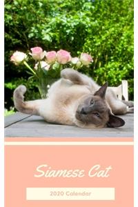 Siamese Cat 2020 Calendar