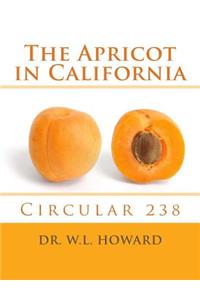 Apricot in California