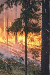 Forest Fire in California Journal