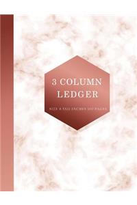 3 Column Ledger