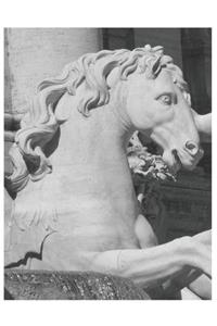 Fontana Di Trevi Time Capsule Journal Diary - A Record of Your Life, One Day at a Time