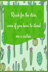 Reach for the Stars, Even If You Have to Stand on a Cactus