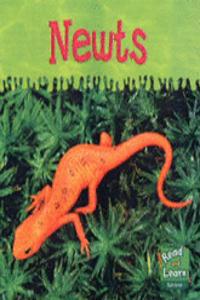 Read and Learn: Ooey-Gooey Animals - Newts
