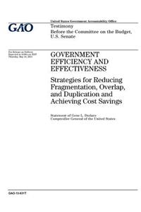 Government efficiency and effectiveness