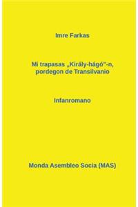 Mi trapasis pordegon de Transilvanio