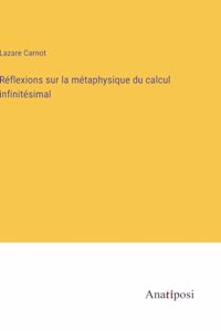 Réflexions sur la métaphysique du calcul infinitésimal