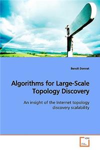 Algorithms for Large-Scale Topology Discovery
