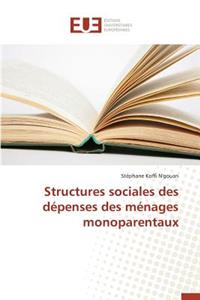 Structures Sociales Des Dépenses Des Ménages Monoparentaux