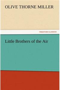 Little Brothers of the Air