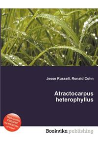 Atractocarpus Heterophyllus