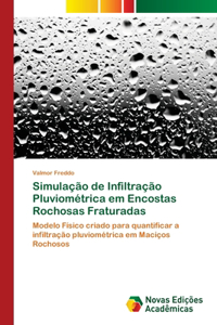 Simulação de Infiltração Pluviométrica em Encostas Rochosas Fraturadas