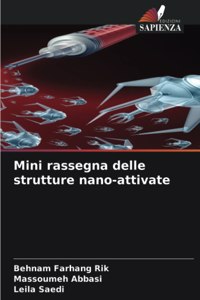 Mini rassegna delle strutture nano-attivate