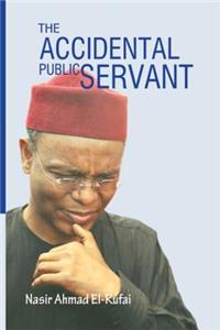 Accidental Public Servant