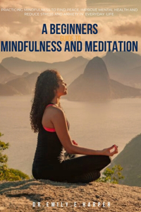 Beginners Guide to Mindfulness and Meditation