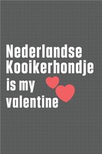 Nederlandse Kooikerhondje is my valentine