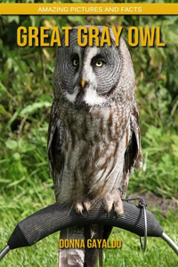 Great Gray Owl: Amazing Pictures and Facts