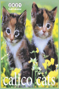 Calico Cats