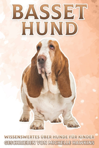 Basset Hund