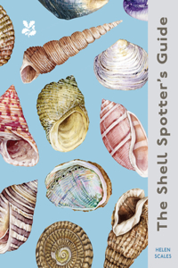 Shell-Spotter's Guide