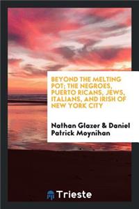 Beyond the Melting Pot; The Negroes, Puerto Ricans, Jews, Italians, and Irish of New York City