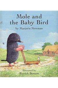 Mole and the Baby Bird