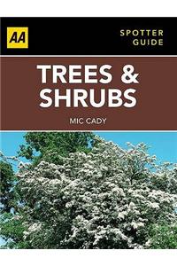 Trees & Shrubs