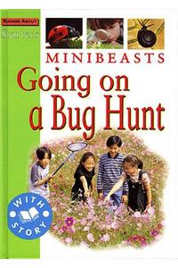 Starters: L2: Minibeasts