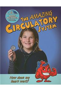 The Amazing Circulatory System