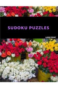 Sudoku Puzzles Large Print