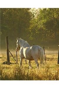 Horse Photo School Composition Book Equine Morning Pasture Scene