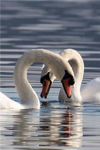 Swan Courtship Journal