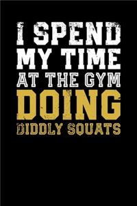 I Spend My Time At The Gym Doing Diddly Squats