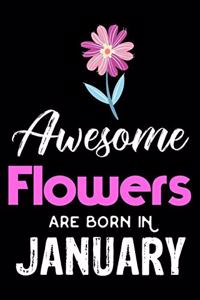 Awesome Flowers Are Born in January