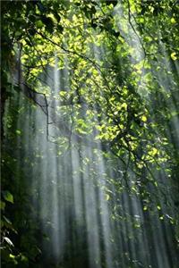 Nature notebook - best notebook with quotes, perfect 120 lined pages #3