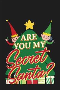 Are You My Secret Santa?