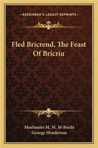 Fled Bricrend, the Feast of Bricriu