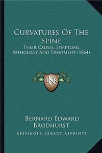 Curvatures of the Spine