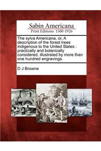 Sylva Americana, Or, a Description of the Forest Trees Indigenous to the United States