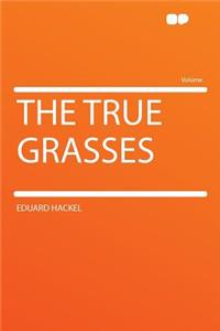 The True Grasses
