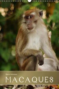 Macaques 2016