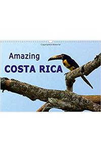 Amazing Costa Rica 2017