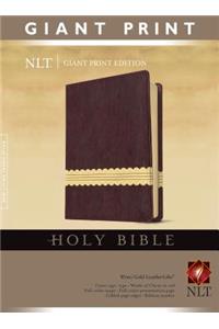 Giant Print Bible-NLT